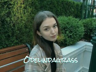 Odelindagrass