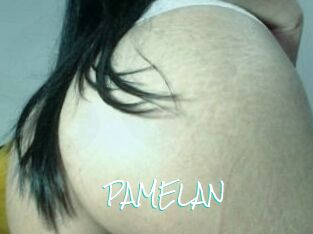 PAMELA_N