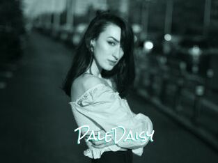 PaleDaisy