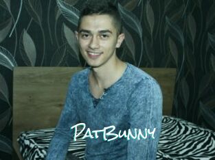 PatBunny