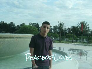 PeaceofLoves