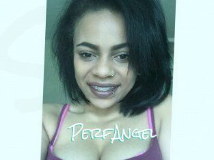 PerfAngel
