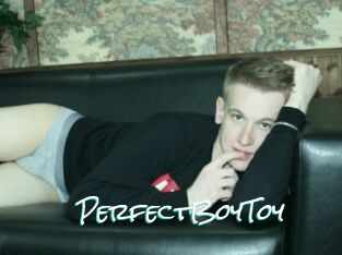 PerfectBoyToy
