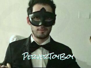 PerverToyBoy