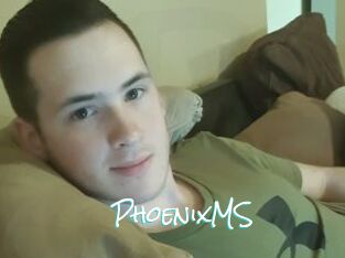 PhoenixMS
