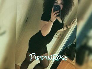 PippinRose