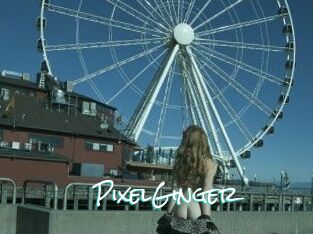 PixelGinger