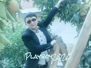 Playboy2020