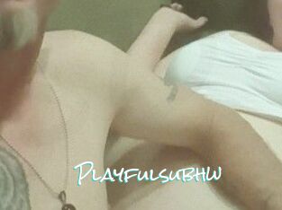Playfulsubhw