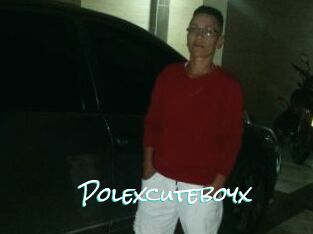 Polexcuteboyx