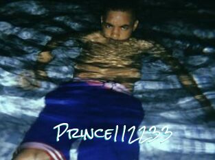 Prince112233