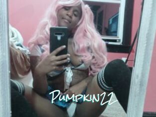 Pumpkin22