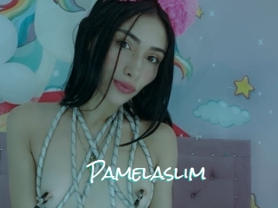 Pamelaslim