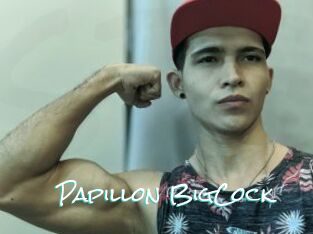 Papillon_BigCock