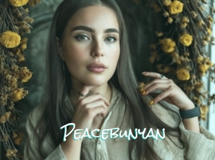 Peacebunyan