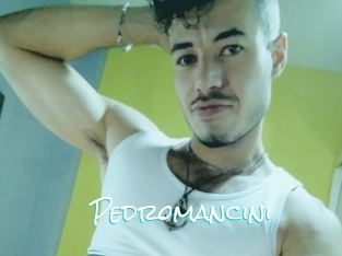 Pedromancini