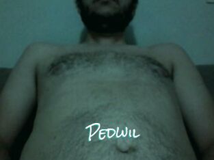 Pedwil