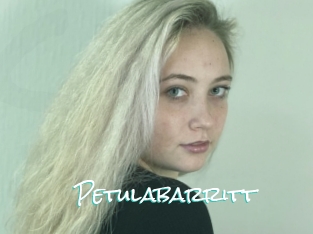 Petulabarritt