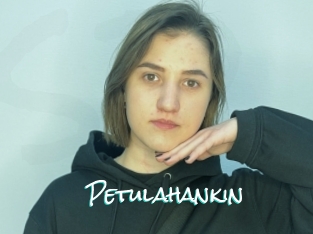 Petulahankin