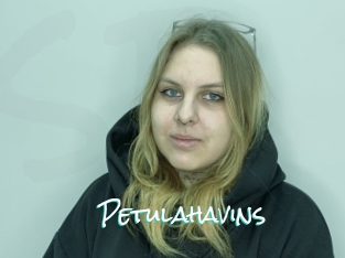 Petulahavins