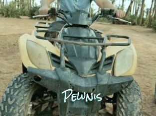 Pewnis
