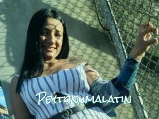 Peytonumalatin