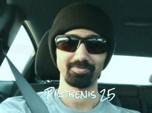 Pig_benis_25