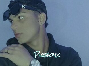 Pigboyx