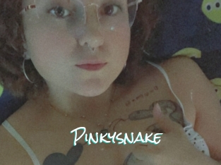 Pinkysnake