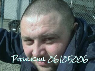 Pituliciul-06105006