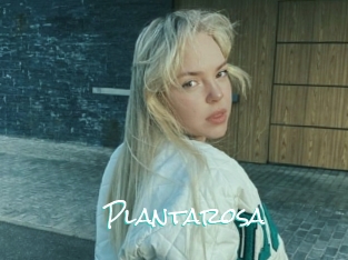 Plantarosa
