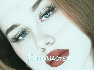 Pollynaster