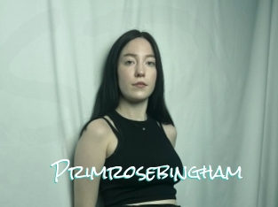 Primrosebingham