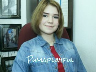 Pumaplayful