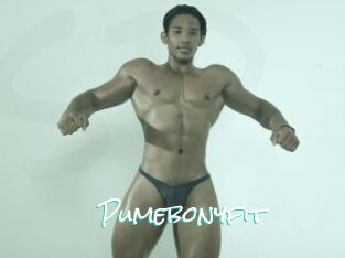 Pumebonyfit