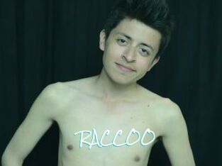RACCOO
