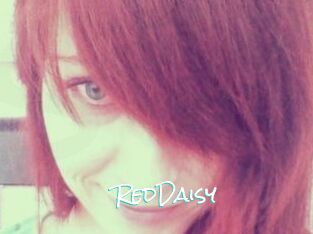 RedDaisy
