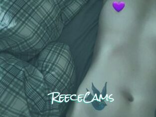 ReeceCams