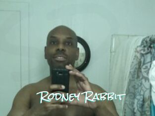 Rodney_Rabbit