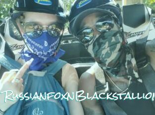 RussianfoxnBlackstallion