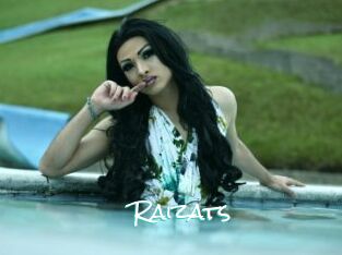 Raizats
