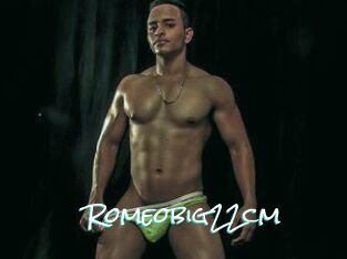 Romeobig22cm