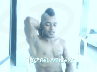 royblackbig Sensuality Dream