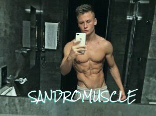 SANDRO_MUSCLE