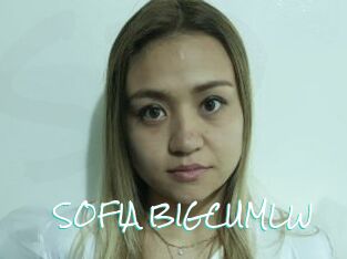 SOFIA_BIGCUMLW