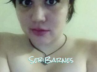 Sebi_Barnes