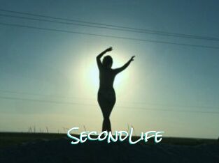 SecondLife