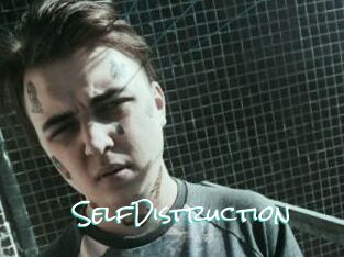 SelfDistruction