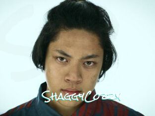 ShaggyCozzy