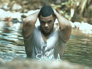 Shein_A